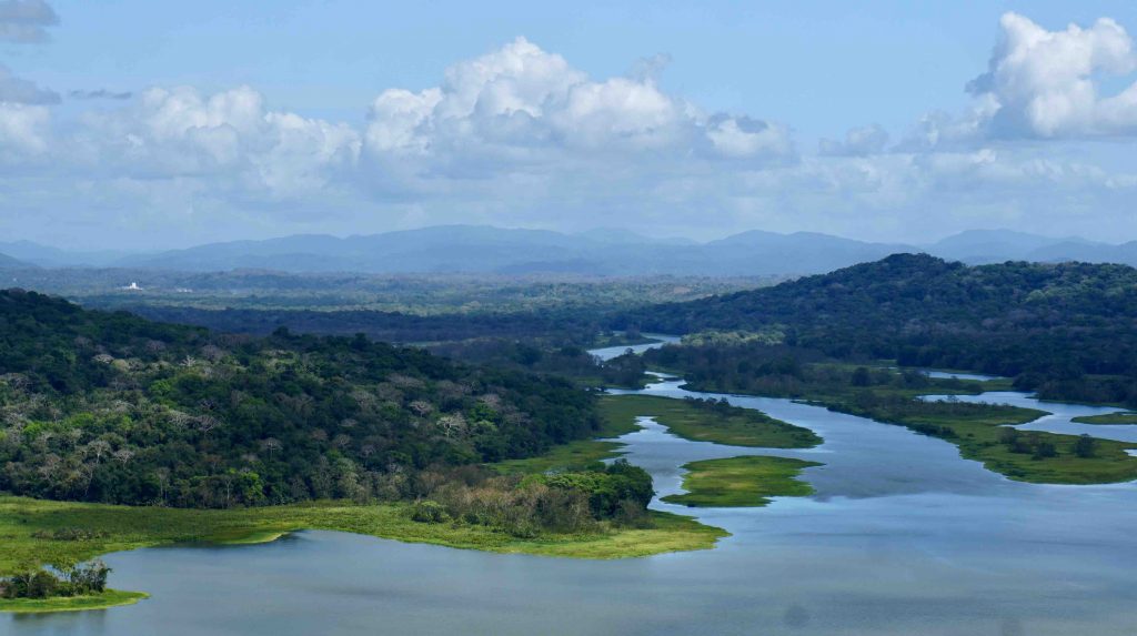 View from the Nature Reserve Tower viewing the river that feeds the Panama Canal